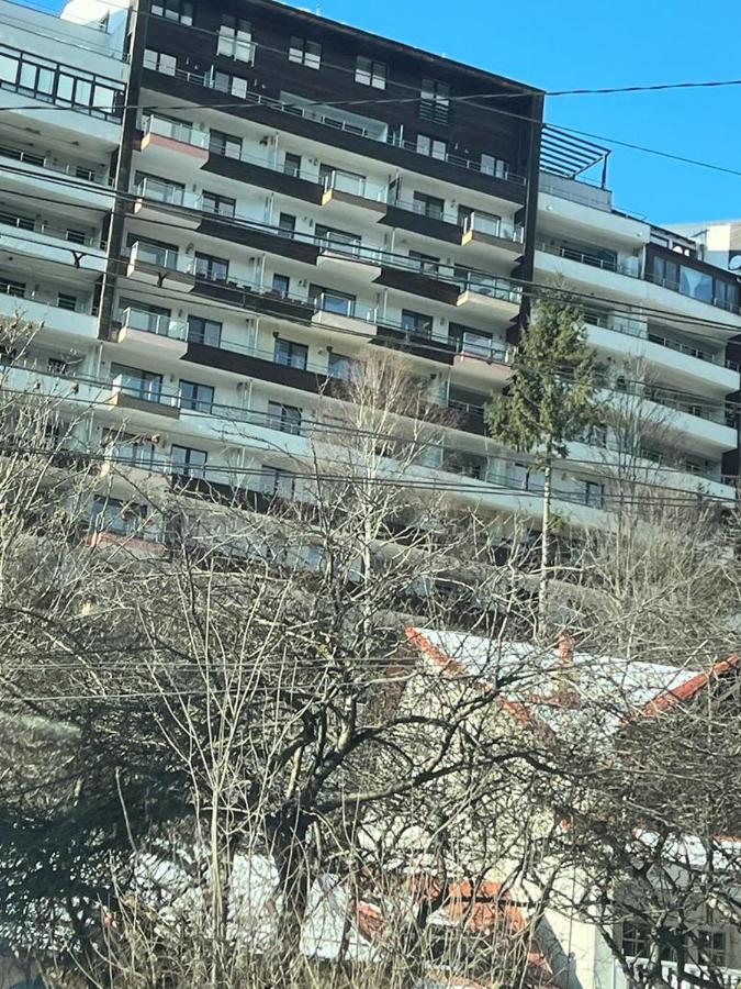 Coca Apart Mountain View Sinaia Exterior foto