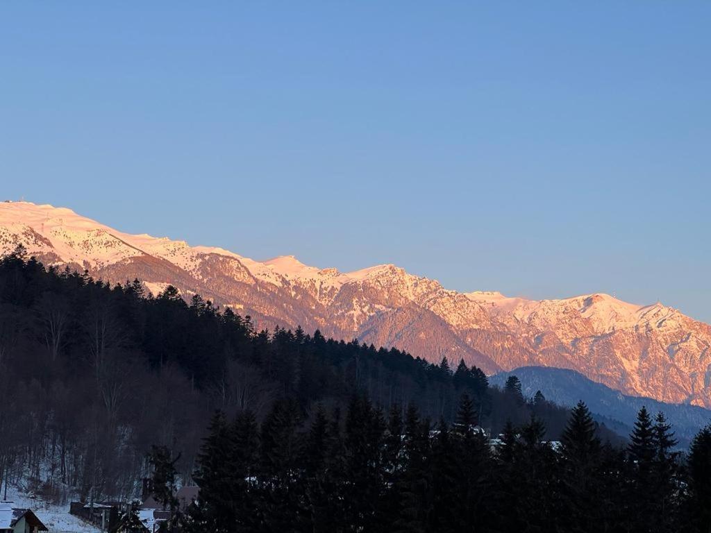 Coca Apart Mountain View Sinaia Exterior foto