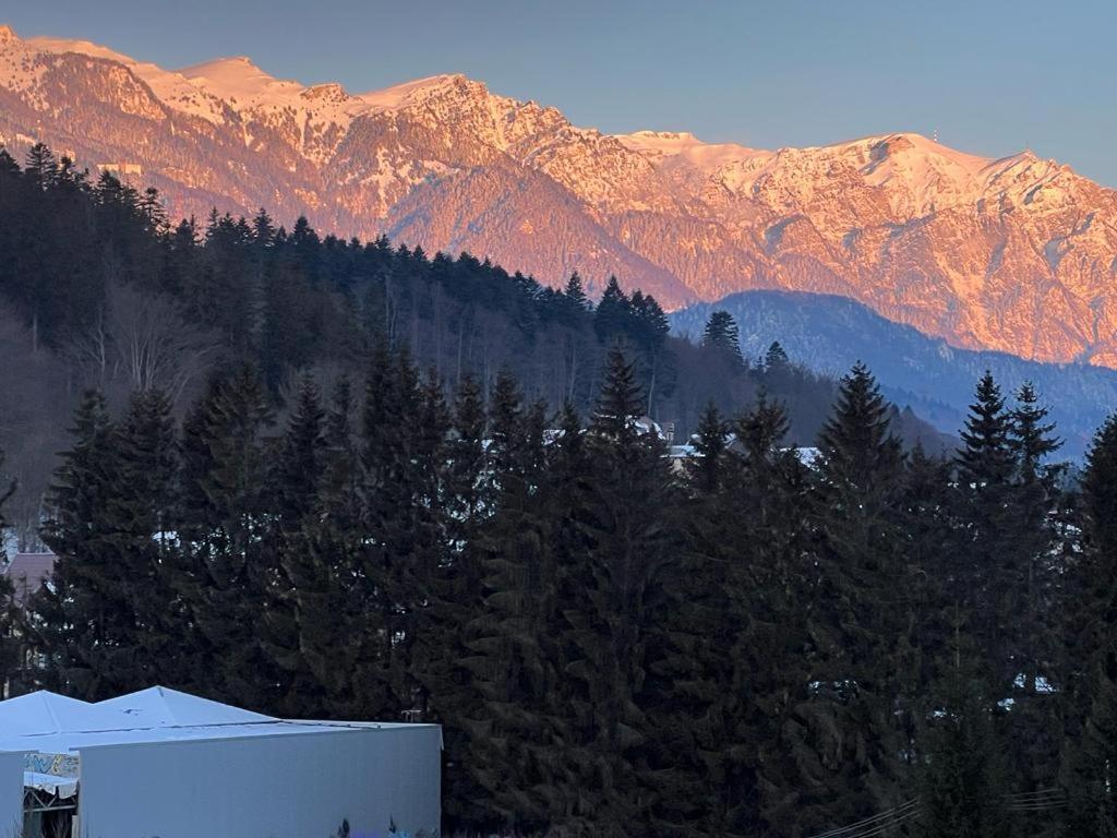 Coca Apart Mountain View Sinaia Exterior foto