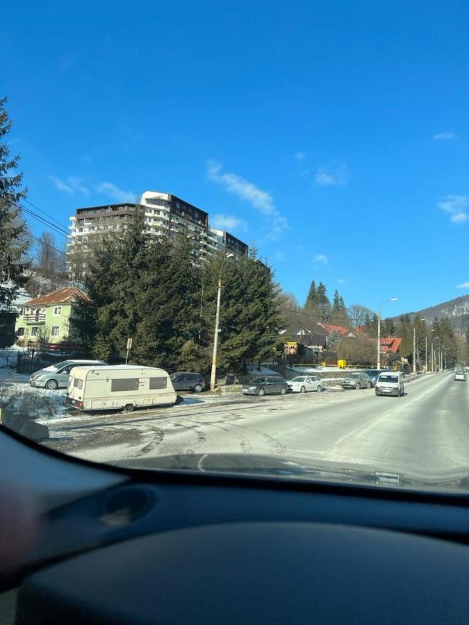 Coca Apart Mountain View Sinaia Exterior foto
